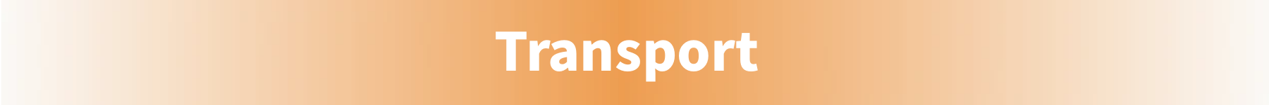 Wholesale Custom Logo 2 PCS Tummy Control Sportswear Set Seamless Cross Back Yoga Tops Scrunch Butt Workout Leggings for Women