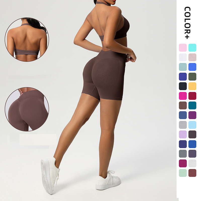 Women Halter Neck Seamless Yoga 2-Piece 
